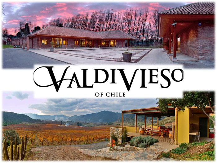 Rượu vang Valdivieso Merlot Classic - Royalwine.com.vn