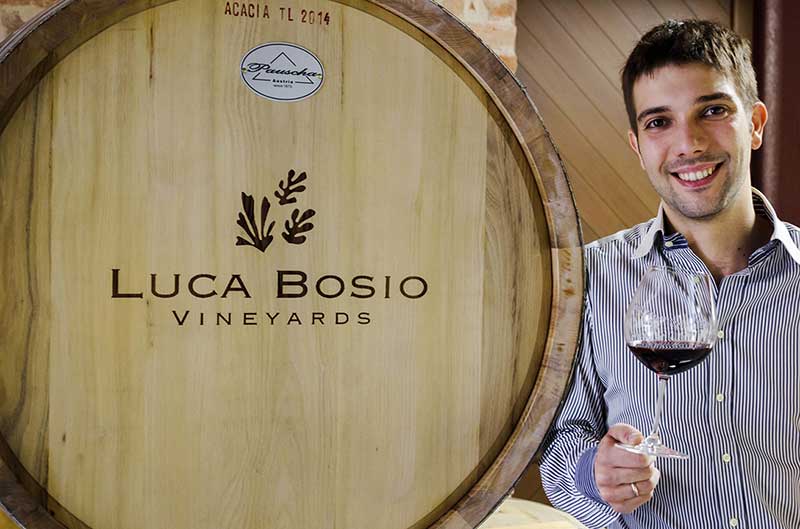 Luca Bosio Vineyards
