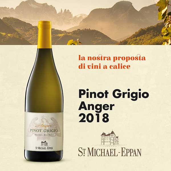 Ruou Vang Anger Pinot Grigio Alto Adige 1
