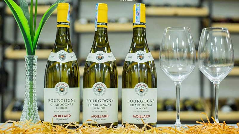Ruou Vang Moillard Bourgogne Chardonnay2