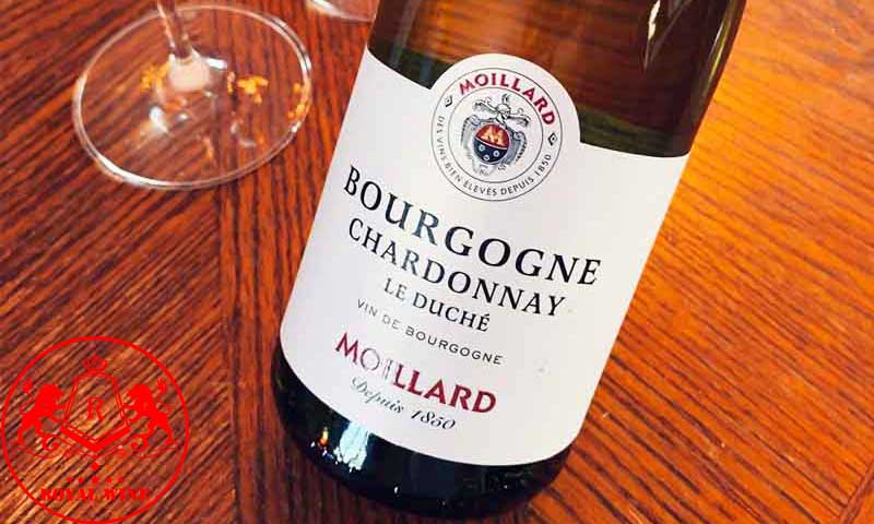 Ruou Vang Moillard Bourgogne Chardonnay3