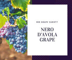 Nho Nero D'avola