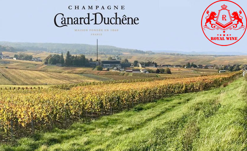 Champagne Canard Duchene