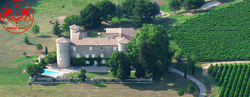 Chateau Haut Selve Graves