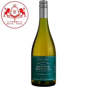 Ruou Vang Cono Sur Reserva Especial Sauvignon Blanc