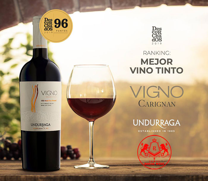 Ruou Vang Undurraga Vigno Old Vines3