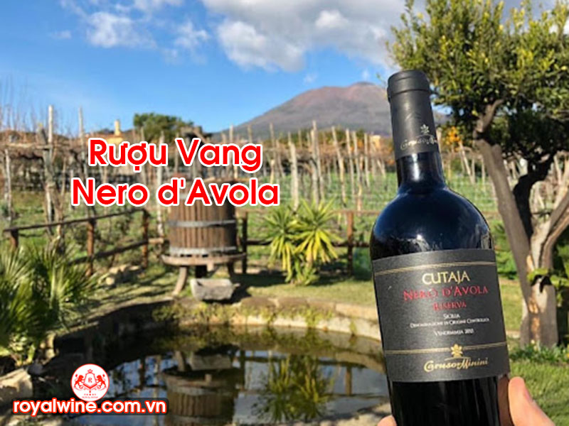 Rượu Vang Nero d'Avola