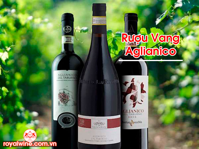 Rượu Vang Aglianico