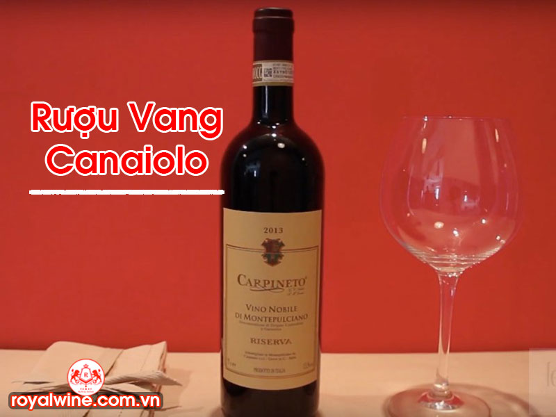 Rượu Vang Canaiolo