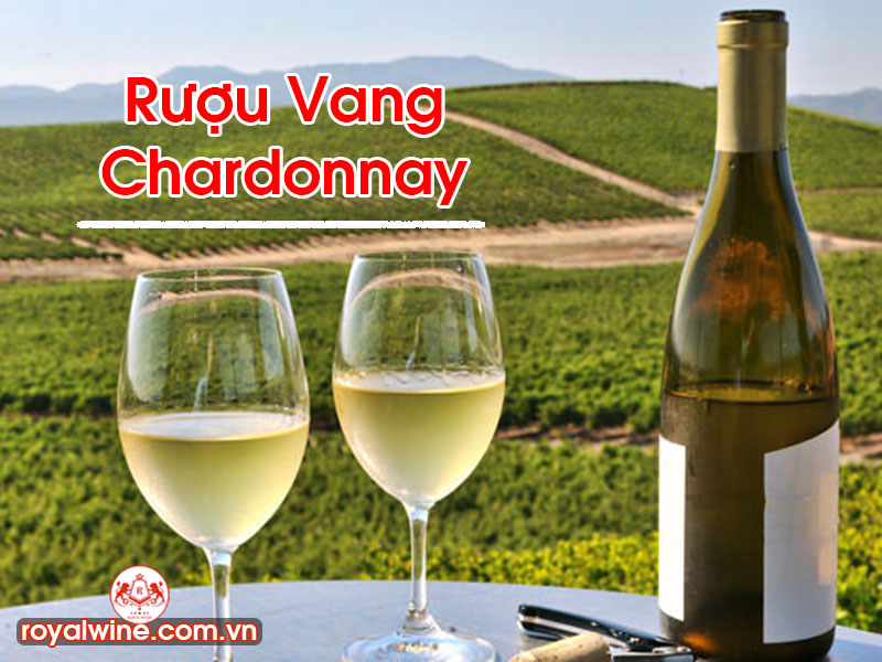 Rượu Vang Chardonnay