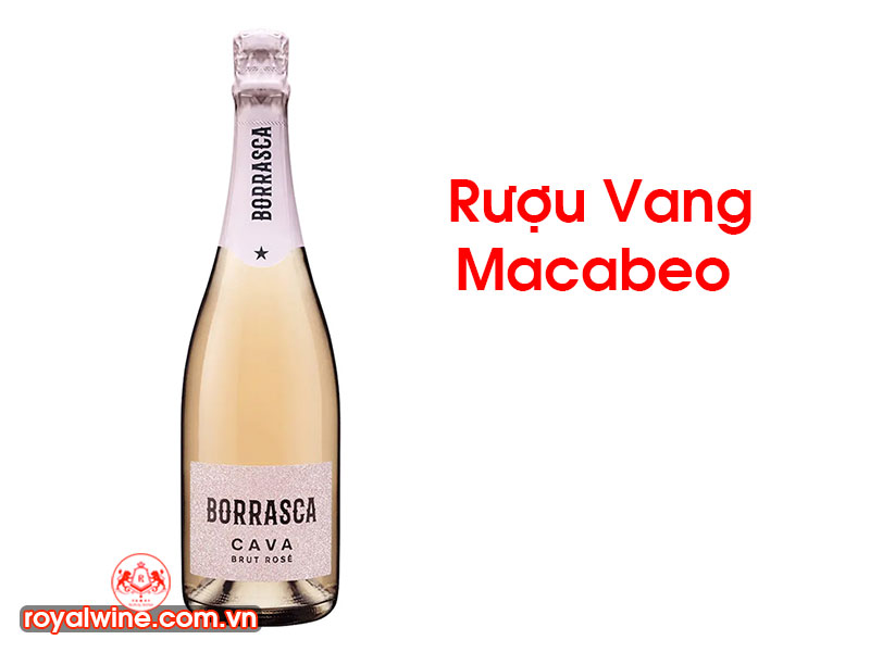 Rượu Vang Macabeo