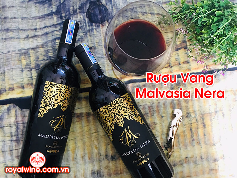 Rượu Vang Malvasia Nera