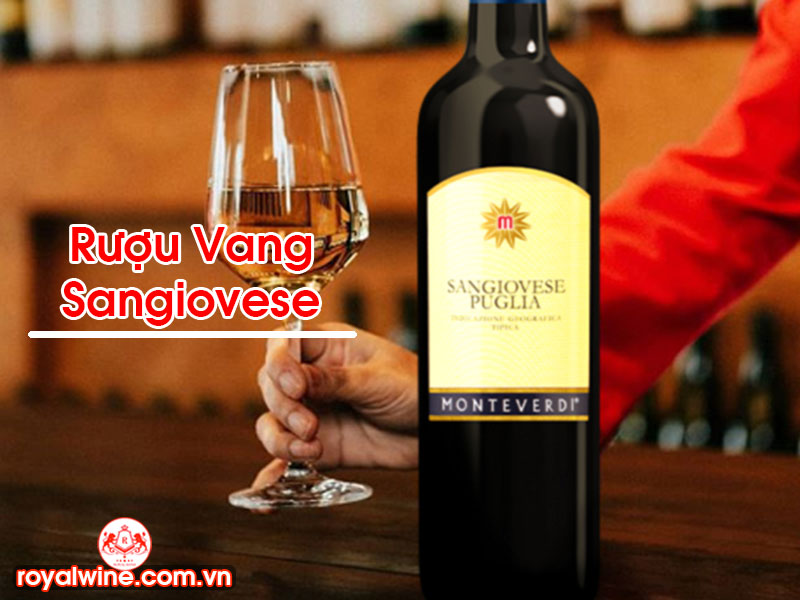 Rượu Vang Sangiovese