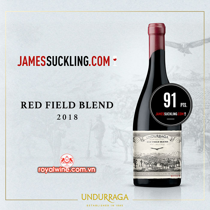 Vang đỏ Chile Undurraga Red Field Blend Dry Farmed Old Vines