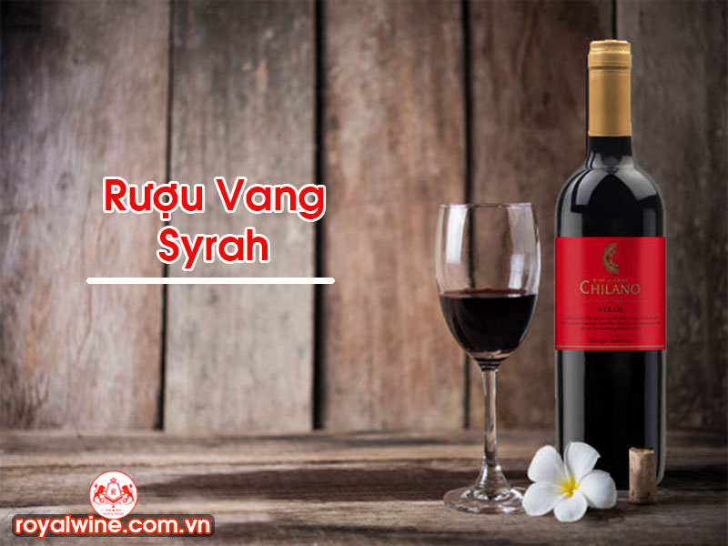 Rượu Vang Syrah