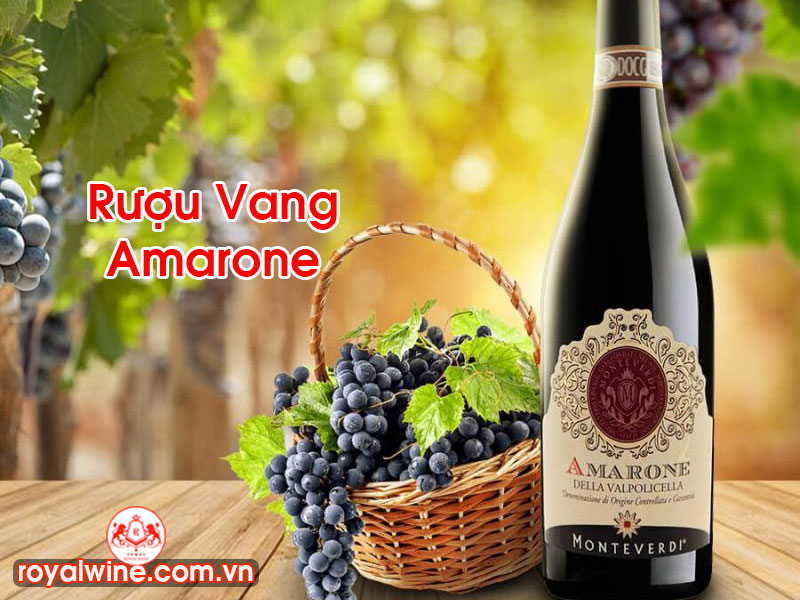 Rượu Vang Amarone