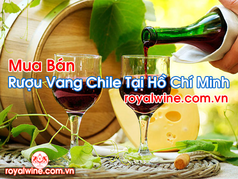 Rượu Vang Chile Tại Hồ Chí Minh