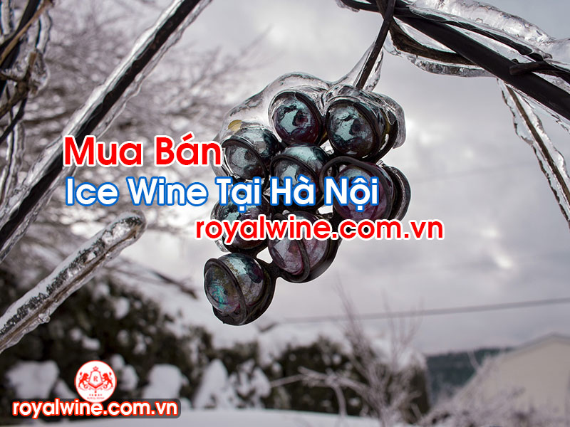 Ice Wine Tại Hà Nội