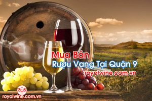 Rượu Vang Tại Quận 9