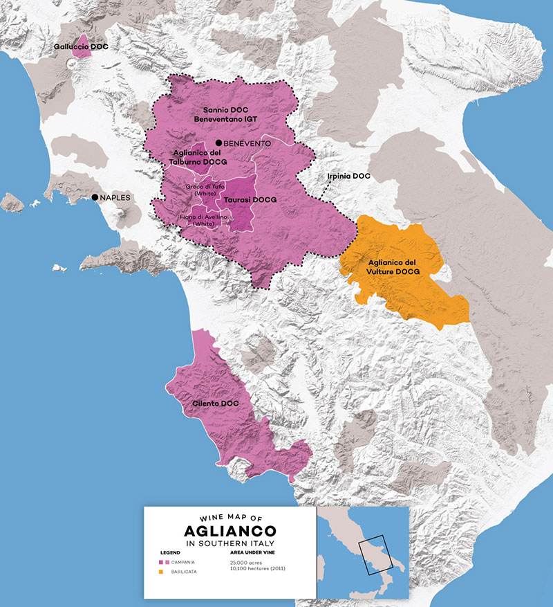 Vùng Trồng Nho Làm Rượu Vang Aglianico Ngon Nhất Nước Ý