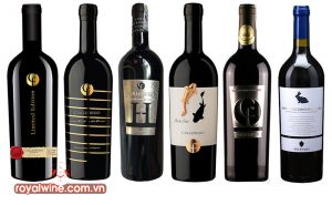 6 Chai Rượu Vang Montepulciano Ngon Nhất 2022