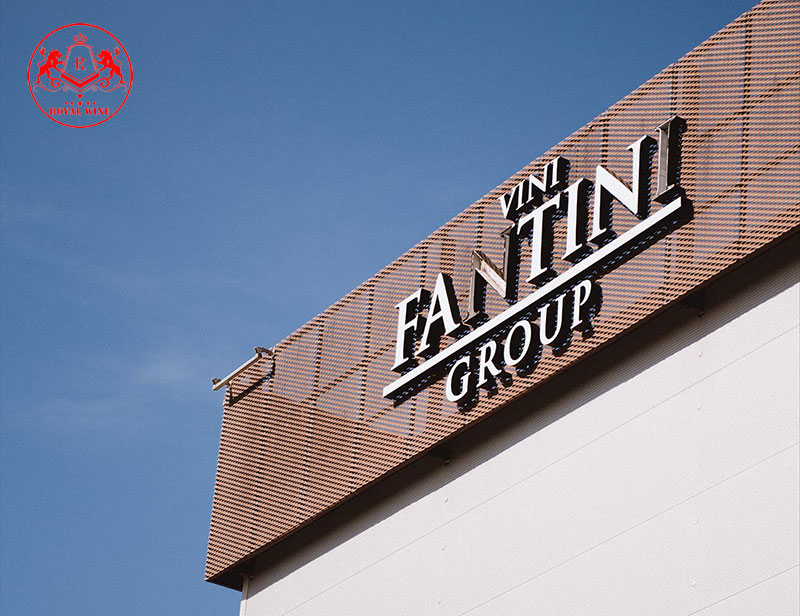 Vini Fantini Group