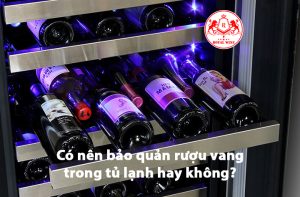 Có Nên Bảo Quản Rượu Vang Bằng Tủ Lạnh