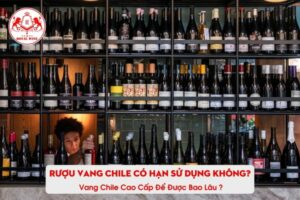 Rượu vang Chile có hạn sử dụng không ? Vang Chile cao cấp để được bao lâu ?