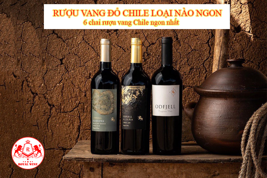 Rượu Vang Đỏ Chile Loại Nào Ngon