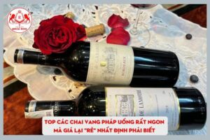 TOP Các Loại Rượu Vang Pháp Uống Rất Ngon Mà Giá Lại "Rẻ" Nhất Định Phải Biết