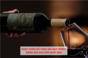 Rượu vang đỏ Chile giá bao nhiêu ? Bảng giá sale mới nhất 2024