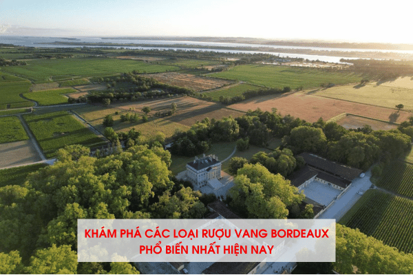 Khám phá các loại rượu vang Bordeaux phổ biến nhất hiện nay