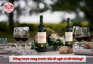 Uống rượu vang trước khi đi ngủ có tốt không? Bật mí lợi ích bạn cần biết!