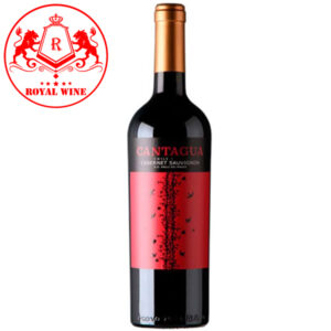 Rượu vang đỏ Cantagua Cabernet Sauvignon