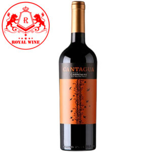 Rượu vang đỏ Cantagua Carmenere
