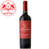 Rượu vang đỏ Extremo Sur Cabernet Sauvignon
