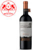 Rượu vang đỏ Ventisquero Reserva Carmenere